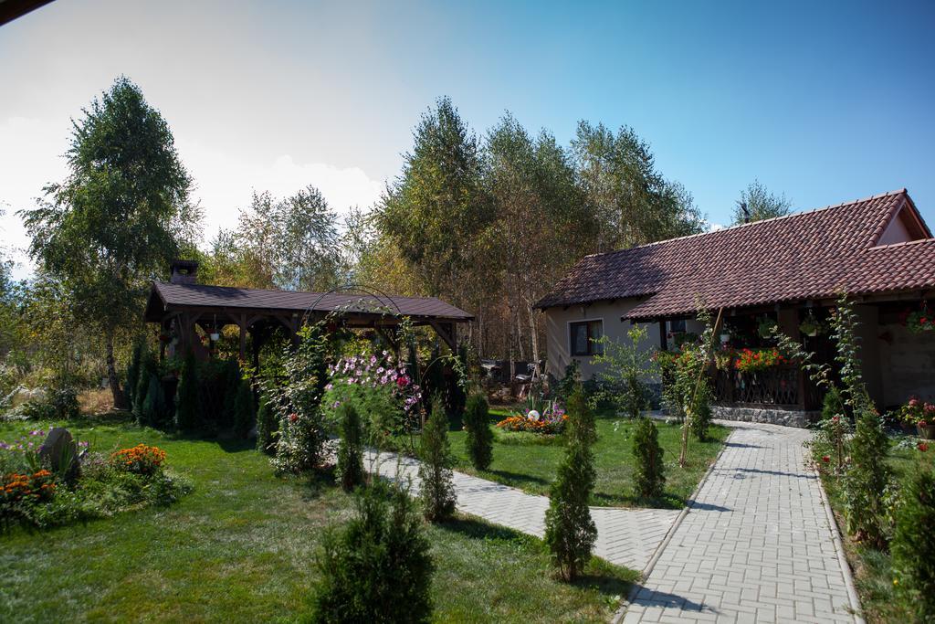 Pensiunea Royal Garden Hotel Sîmbăta de Sus Buitenkant foto